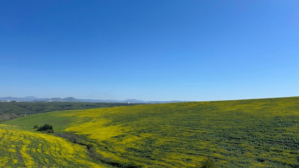 La Presa, CA